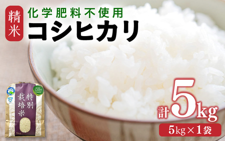 【令和7年産 新米】 化学肥料不使用コシヒカリ 精米5kg（5kg×1袋） / 白米 米 福井県あわら市産 美味しい 特別栽培米 減農薬 安心な米 旨味 甘み もっちり エコファーマー こしひかり 冷蔵保管米 [aw010-a018]