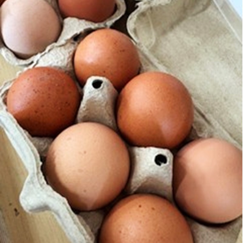 【2026年12月下旬～2027年5月発送予定】泉南市産　旬のいちご・平飼いたまご・旬野菜5品セット ※お届け不可地域あり【015D-027-2027】