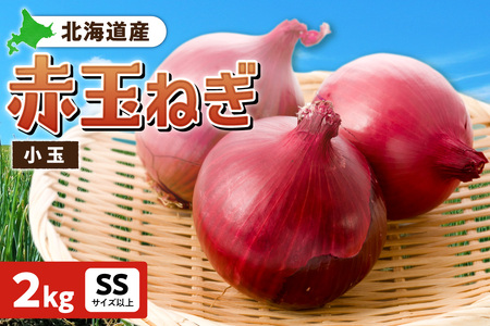 赤玉ねぎ 北海道産 小玉 2kg SSサイズ以上