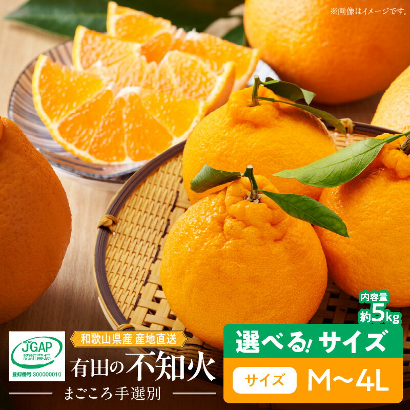 【ふるさと納税】【限定】【2026年先行予約】 不知火 5kg 選べる サイズ M～4L まごころ手選別 バランス 甘さ デコポン 産地直送 有田 国産 柑橘 果物 果実 フルーツ 産地直送 食品 食べ物 おやつ デザート こだわり お取り寄せ お取り寄せフルーツ 和歌山県 湯浅町 送料無料