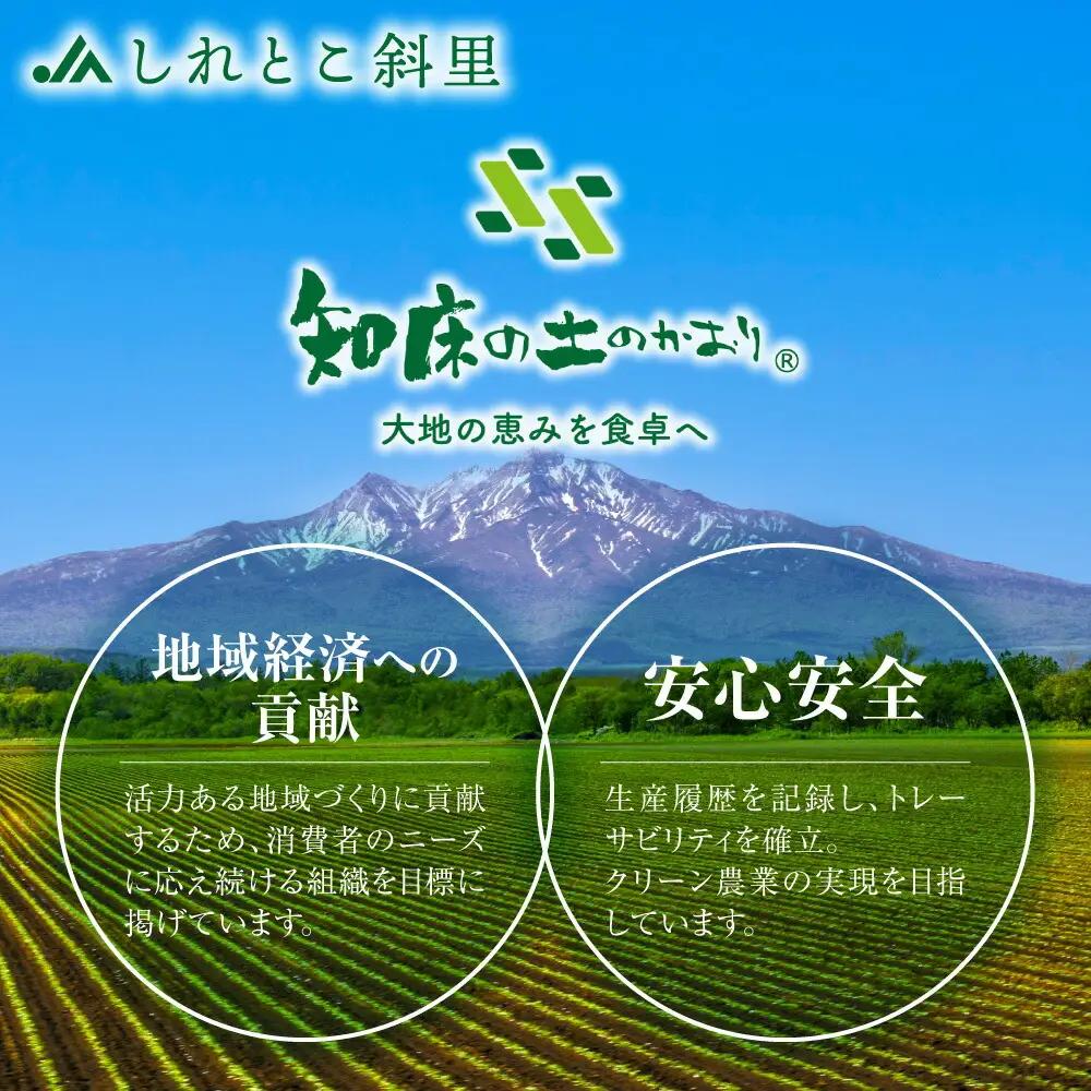【先行予約】知床の大自然が育む黄金色の芋「きたあかり」・知床の恵み凝縮「玉葱」10kgセット じゃがいも たまねぎ