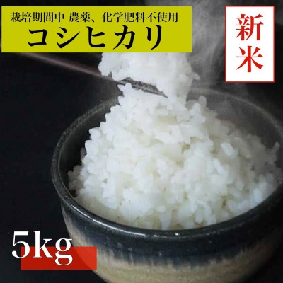 
                  ＜令和8年産　新米先行予約＞コシヒカリ白米5kg《栽培期間中農薬・化学肥料不使用》徳島県阿南市産【1655304】
                