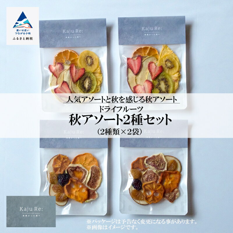 【ふるさと納税】 ドライフルーツ Kaju Re:ドライフルーツ アソート 秋アソート2種セット フルーツ おやつ お菓子 おかし グルメ お取り寄せ お中元 お歳暮 ギフト 小松市 石川県 015035【Kaju Re:】