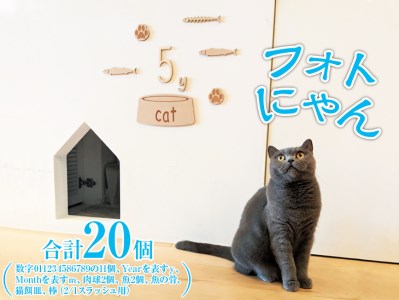 フォトにゃん FAA-208