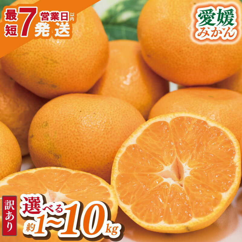 【ふるさと納税】 【年内発送】 みかん 訳あり 1kg / 2kg / 5kg / 10kg | えひめみかん 温州みかん 極早生 くだもの フルーツ 蜜柑 ミカン mikan 柑橘 不揃い 傷 ワケアリ 訳アリ 家庭用 愛媛県産 お取り寄せ ふるさと納税みかん 愛媛県 松山市 送料無料