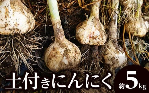 
                  土付きにんにく 約5kg【2027-5月上旬～2027-6月中旬配送】
                