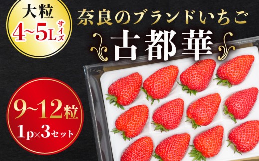 いちご 古都華カンパニー 大粒 ことか 9~12粒 3セット 4~5Lサイズ 古都華 化粧箱 数量限定 苺 イチゴ 季節限定 旬 フルーツ 果物 スイーツ スムージー ケーキ 産地直送 新鮮 贈答 お歳暮 ギフト プレゼント 奈良県 奈良市