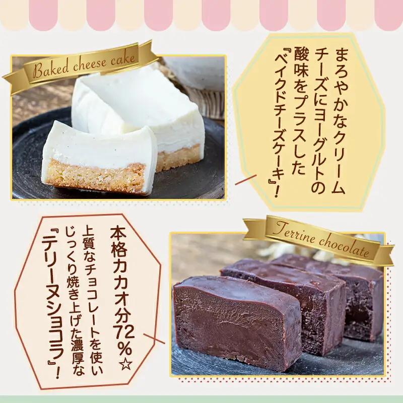 ベイクドチーズケーキ＆濃厚テリーヌショコラセット〔AAJ-C2-003〕_ (都城市) カカオ分72％ チョコレート ヨーグルトの酸味 クリームチーズ 洋菓子 お菓子 スイーツ 四角いケーキ 冷凍 お
