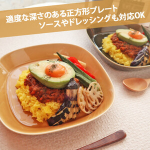 【美濃焼】 プレーリー マスタード プレートL 2枚セット 瑞浪市 / JS企画 小田陶器 セット 食器 プレート 皿 小皿 [AZAZ260]