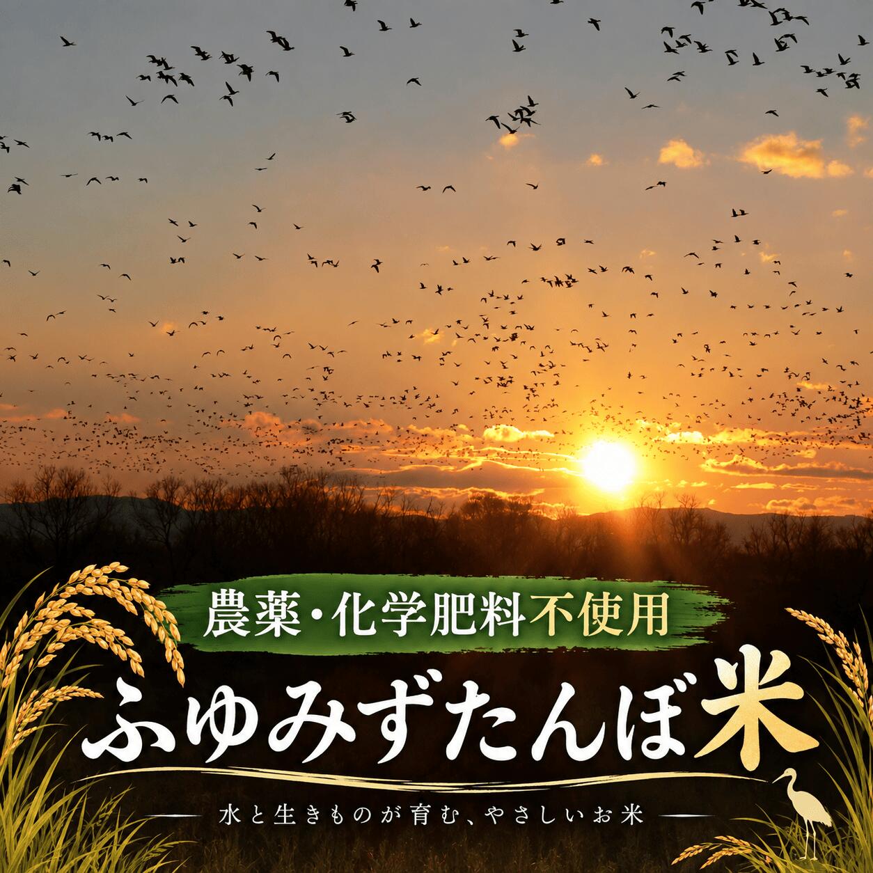 【ふるさと納税】【2025年産】 宮城県大崎市田尻産 無農薬米「ふゆみずたんぼ米」 2kg〜25kg 選べる容量と回数 | tj001-r7-oya