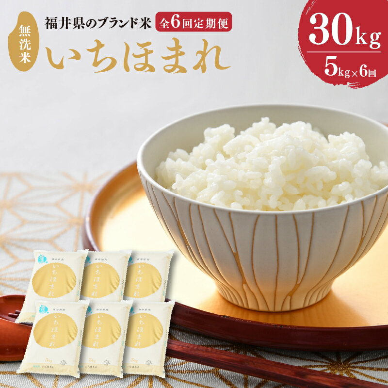 【ふるさと納税】【令和7年産・新米】定期便 ≪6ヶ月連続お届け≫ 福井県のブランド米 いちほまれ 無洗米 5kg × 6回 計30kg 【 無洗米 人気 品種 ブランド米 特A 】
