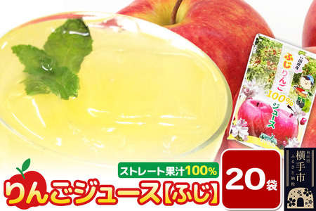 りんごジュース（ふじ）20袋