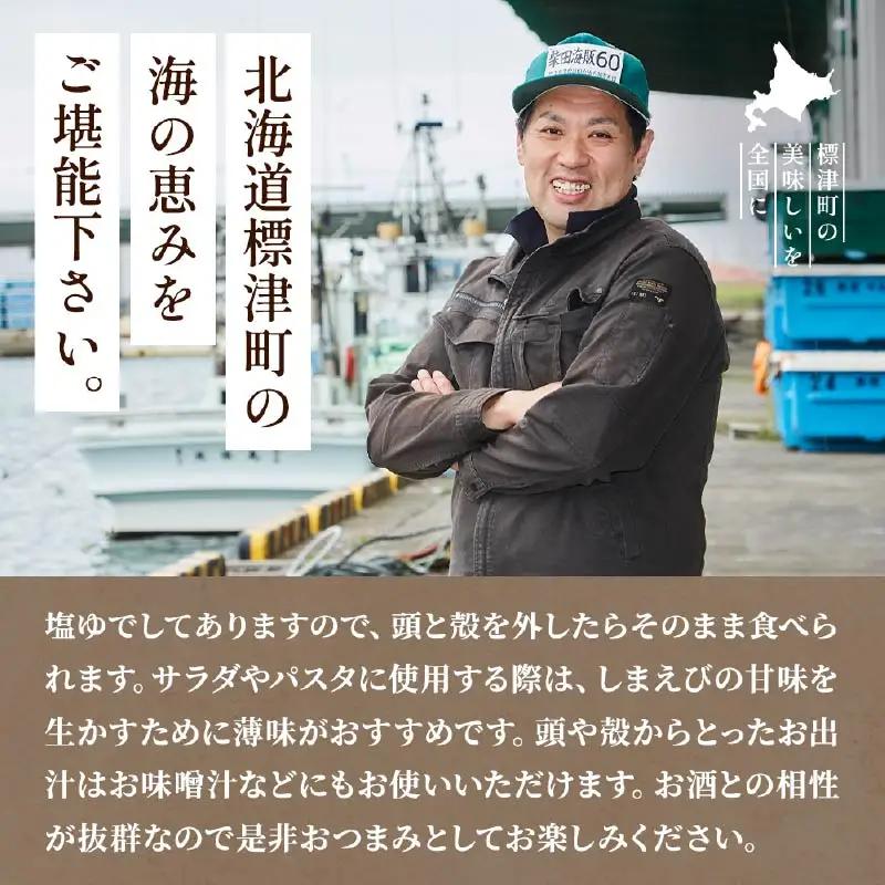 【令和8年 新物】北海しまえび 500g (1パック) えび 【AV】