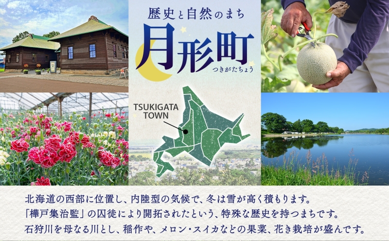 【ANA限定】 北海道 月形町 ANA コラボ アップサイクル キャリーオン バッグ ファッション カバン ショルダーバッグ かばん トートバッグ 手提げ SDGs グランドハンドリング制服 リメイク 再利用 収納 機能性 高校生デザイン