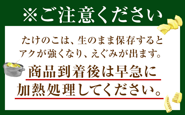 たけのこ 4kg 約4~10本 弐番屋《3月下旬-4月下旬頃出荷》鹿児島県 さつま町 筍 タケノコ