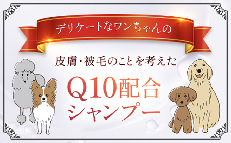 76020_DHC 犬用 国産 ビューティドッグ リンスインシャンプーQ10 EX2個セット MBB063