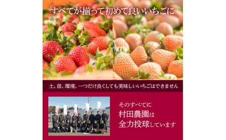 【4月上旬発送】村田さん家のいちご 【 幸白 いちご 】 (1箱12～15粒）