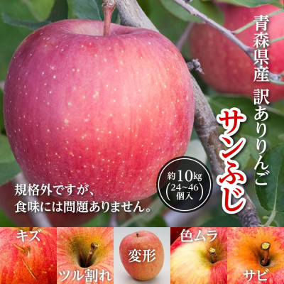 今年も約10kgお届けします!　訳ありりんご「サンふじ」24～46個入【R6年12月中旬～発送開始】【配送不可地域：離島・沖縄県】