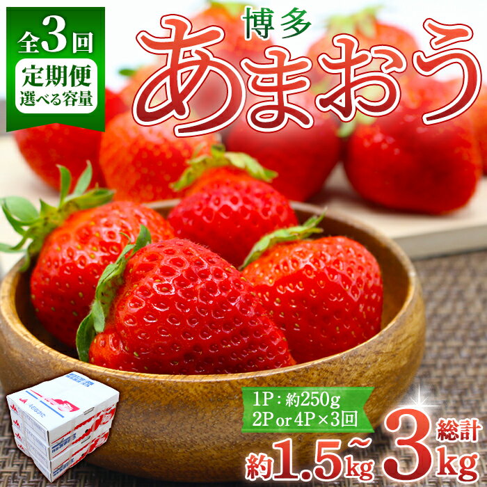 【ふるさと納税】＜容量を選べる・全3回定期便・先行予約受付中！2026年2月上旬〜2026年4月下旬に順次発送予定＞ 博多あまおう (総計約1.5kg〜3kg) いちご 苺 フルーツ 果物 くだもの 家庭用 冷蔵 定期便 ＜離島配送不可＞【ksg1742・ksg1743】【農産物直売所ほたるの里】