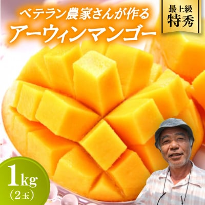 【2026年7月から順次発送・最上級特秀】名匠・比嘉峯夫さんが育てる アップルマンゴー1kg(2玉)【配送不可地域：離島】
