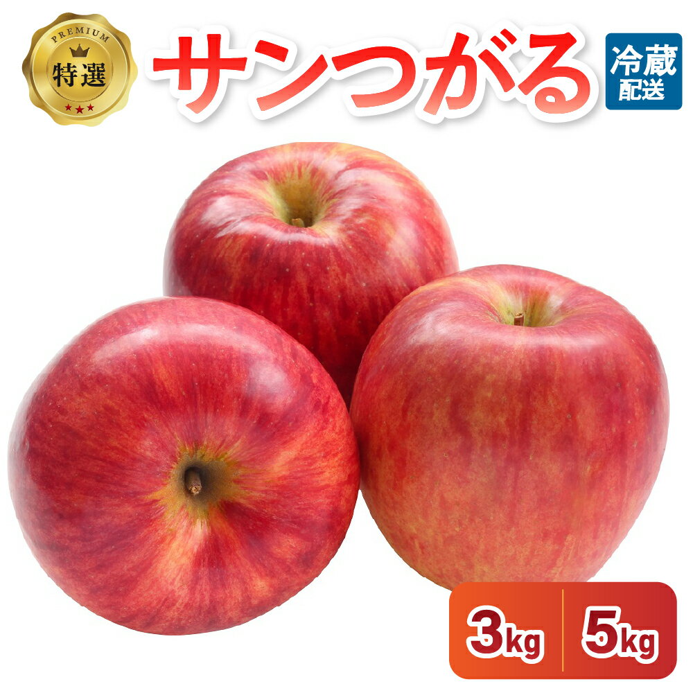 【ふるさと納税】りんご 9月 3kg 5kg サンつがる 特選 青森 クール便 フルーツ 果物【2025年】秋 旬