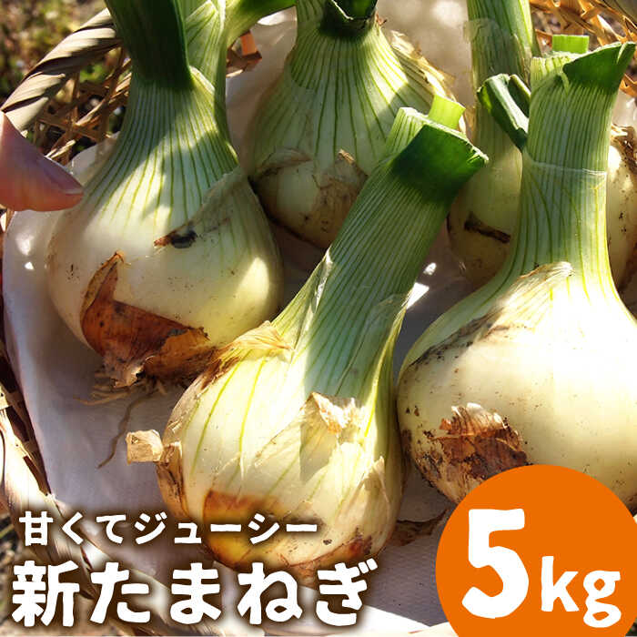 【ふるさと納税】【2026年3月〜発送】【甘くてジューシー 】新たまねぎ 先行予約 サラダ たまねぎ 5kg / 玉ねぎ たまねぎ タマネギ 新たまねぎ 新玉ねぎ / 南島原市 / 長崎県農産品流通合同会社 [SCB025]