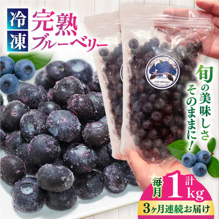 【ふるさと納税】【全3回定期便】旬の美味しさそのまま！冷凍 完熟ブルーベリー 計1kg (約500g×2パック) ブルーベリー 冷凍フルーツ 果物 くだもの フルーツ フローズンブルーベリー 完熟 小分け スムージー【マルク ザ・ガーデン】[YDI002]