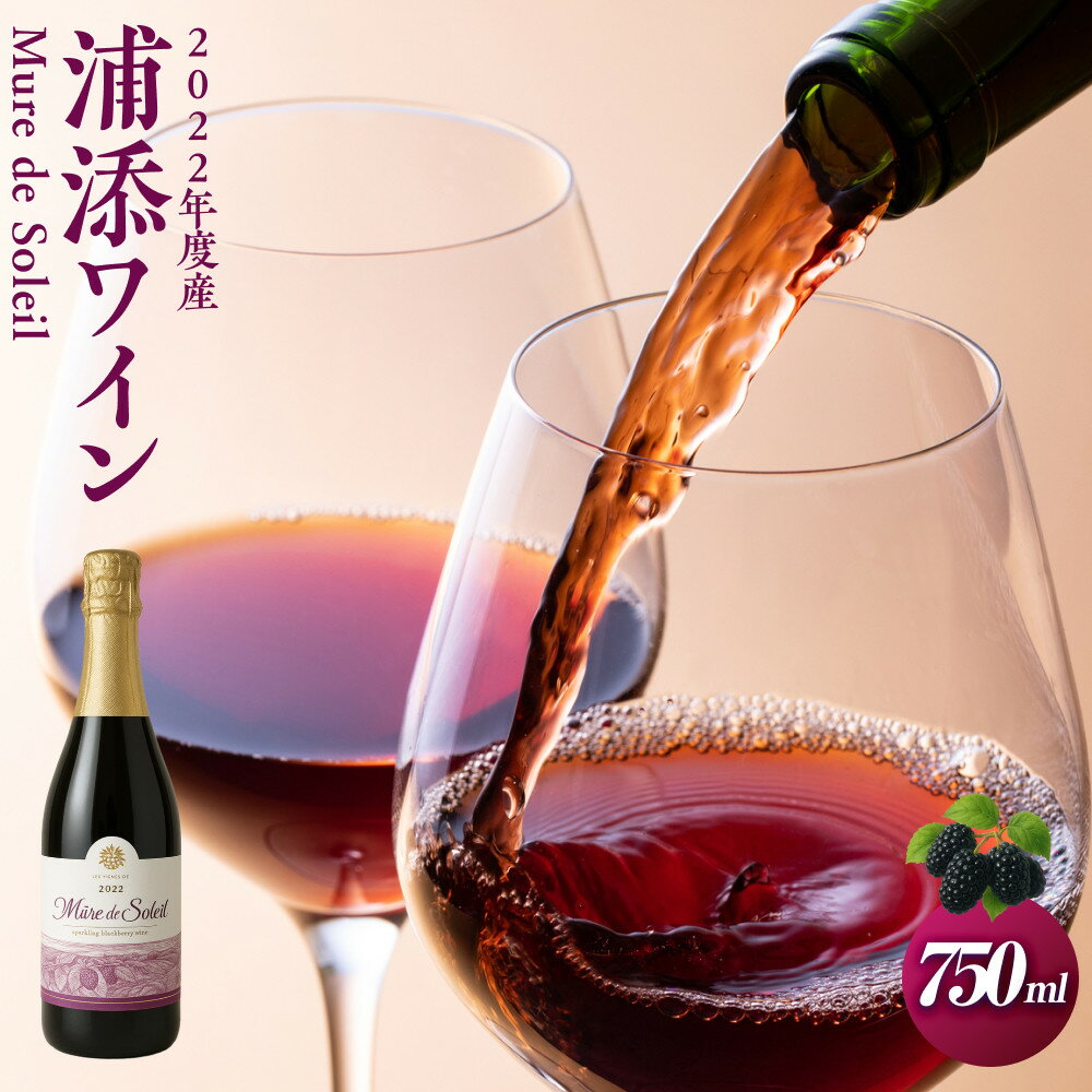 【ふるさと納税】【数量限定】2022年度産 浦添ワイン Mure de Soleil（ミュール・ドゥ・ソレイユ） | 赤ワイン 桑の実 お酒 さけ 食品 人気 おすすめ 送料無料