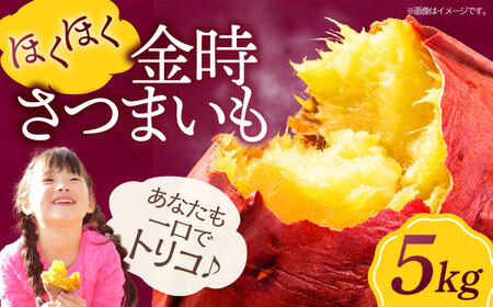 さつまいも（金時）5kg  野菜 やさい さつまいも ５kg 焼き芋 /愛たい菜[AGAP012]
