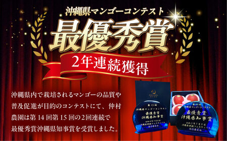  【贈答用】最優秀賞受賞！完熟アップルマンゴー2kg マンゴー 沖縄市 / 仲村農園 マンゴー マンゴー マンゴー マンゴー マンゴー[BCCU001]
