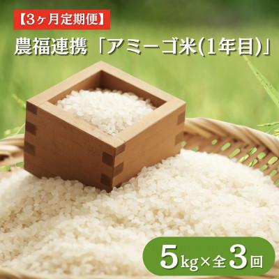 ふるさと納税 大子町 【毎月定期便】アミーゴ米  5kg【白米】(コシヒカリ・天日干し米 ・1年目)茨城県 大子町全3回