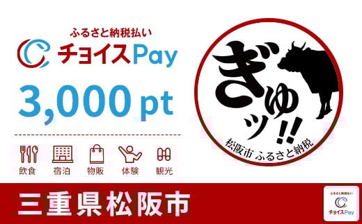 
            松阪市チョイスPay 3,000pt【会員限定のお礼の品】
          