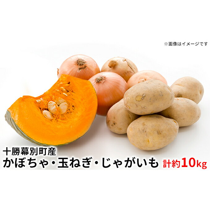 【ふるさと納税】【2024年出荷先行予約】十勝幕別町産 かぼちゃ2個・玉ねぎ4kg・じゃがいも2kg 計約10kg［山田敏明牧場］ 野菜 たまねぎ セット 詰合せ 旬の野菜 産地直送 北海道産 　お届け：2025年10月1日～2025年10月31日