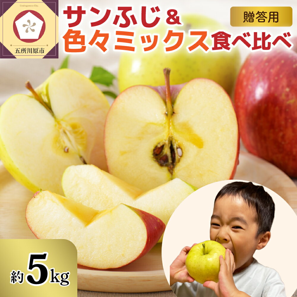 【ふるさと納税】 りんご 約 5kg 青森 津軽から 完熟 サンふじ 色々ミックス 贈答 用 / リンゴ 林檎 さんふじ ふじ 詰め合わせ おまかせ 食べ比べ 5キロ 果物 フルーツ 旬 ギフト 贈り物 贈答 送料無料 お取り寄せ 秋 旬 青森県 五所川原市