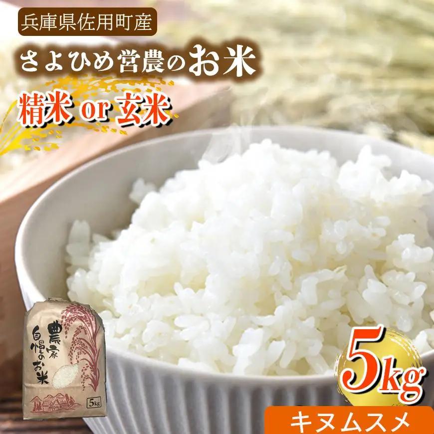 【兵庫県佐用町産】さよひめ営農のお米 5kg キヌムスメ/玄米