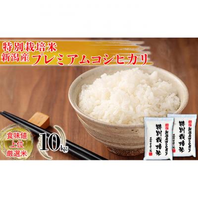 ふるさと納税 新潟市 特別栽培米 新潟産コシヒカリ白米 10kg(5kg×2)[54070585]