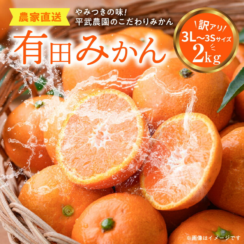 【ふるさと納税】【平武農園より農家直送！】有田みかん 訳あり2kg≪サイズ混合(3S～3L)≫ 蛍飛ぶ町から旬の便り