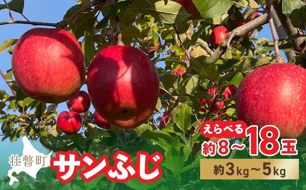 
            ＜2025年12月上旬よりお届け＞北海道壮瞥町　りんご　品種名「サンふじ」選べる容量 8～18玉 約3kg～5kg 【 ふるさと納税 人気 おすすめ ランキング りんご リンゴ 林檎 サンふじ ふじ 甘い ジューシー 北海道 壮瞥町 送料無料 】 SBTF006
          