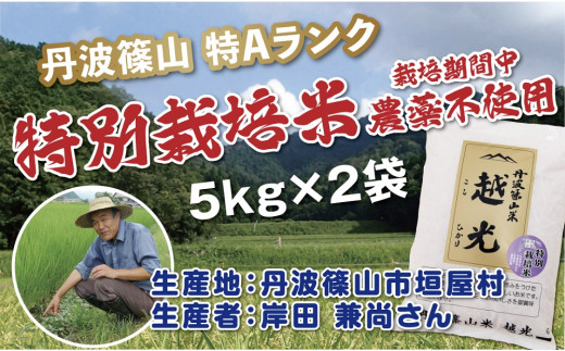 
丹波篠山産　特別栽培米　越光（農薬不使用）（5ｋｇ×2袋）
