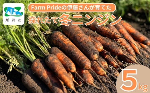 Farm Prideが育てた採れたての絶品！冬ニンジン 彩誉(あやほまれ) 5kg | 埼玉県 所沢市 人参 にんじん ニンジン キャロット あやほまれ 野菜 緑黄色野菜 サラダ マリネ スムージー スティック 料理 煮物 カレー シチュー ジュース カロテン ビタミン 産地直送 おいしい おすすめ  新鮮 フレッシュ