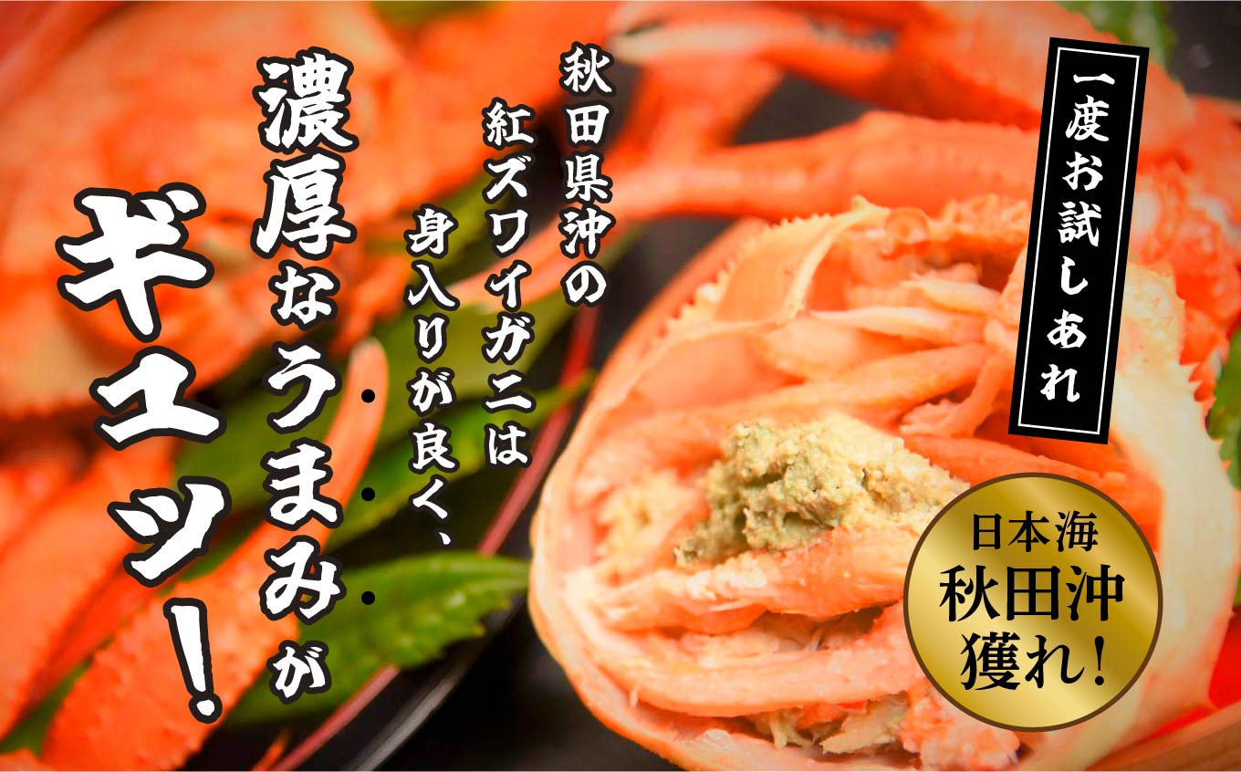 《3月初旬より順次配送》日本海沖産 紅ズワイガニ600g前後×2匹 約1.2kg/冷凍　 冷凍 ズワイガニ 2匹 約 1.2kg 紅ズワイガニ ベニズワイガニ ずわい ズワイ蟹 ずわいがに ずわい蟹 