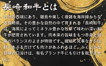 【超希少部位】長崎和牛 A5等級 シャトーブリアン 360g (120g×3枚) 脂がしつこくない日本一の和牛 最高級部位ヒレ肉の中心 【田中精肉店】 シャトーブリアン 人気シャトーブリアン おすすめ