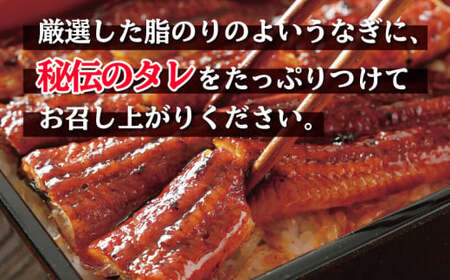 うなぎ 蒲焼き 6尾 約900g うなぎ うなぎ うなぎ うなぎ うなぎ うなぎ