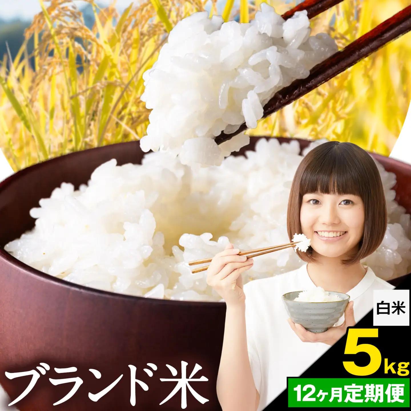 【12ヶ月定期便】米 南関町 単一原料米 (ひのひかりorにこまるorくまさんの輝き)  白米 5kg《お申込み翌月から出荷》熊本県産 国産 白米 こめ コメ 5キロ