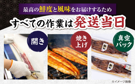 国産活うなぎ1尾（蒲焼） 滋賀県長浜市/株式会社魚三[AQDF006]