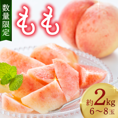 【数量限定】京都丹後産 桃 約2kg（6～8玉）（2026年7月中旬～発送） ふるさと 納税 桃 2kg ふるさと 納税 もも モモ ふるさと 納税 期間限定 ふるさと 納税 フルーツ くだもの 果物