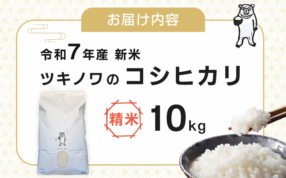 【令和7年産 新米 先行予約受付】ツキノワのコシヒカリ 精米 10kg ｜お米 白米 ご飯 コメ 栃木県 大田原市 
