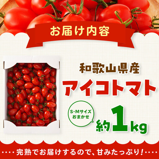 ［2026年6月出荷分］和歌山産ミニトマト「アイコトマト」約1kg（S・Mサイズおまかせ）［TM233］