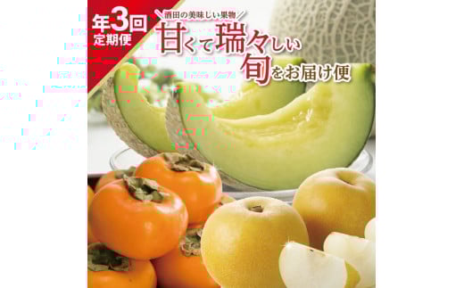 【3回定期便】酒田の美味しい果物！甘くて瑞々しい旬をお届け便2026 (アールスメロン、刈屋梨、庄内柿) SE0486
