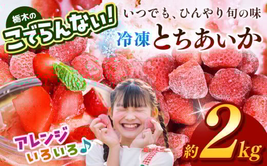 栃木のこでらんない冷凍イチゴ（とちあいか） 約2kg ｜いちご イチゴ 果物 フルーツ 苺 甘い 美味しい とちあいか 大粒 ジューシー 映え 産地直送 栃木県 真岡市 朝摘み 酸味が少ない 冷凍いちご 日本一